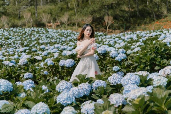 Da Lat: Regional Highlights Trip by Van With Entry Tickets - The Sum Up