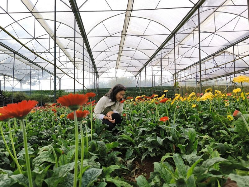Da Lats Iconic Landmarks Private Day Tour - Flowers, the square and Xuan Huong Lake