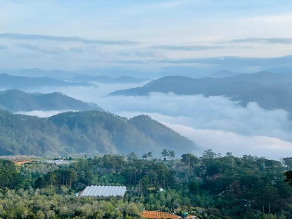 Da Lat Sunrise Cloud Chasing: A Nature Lovers Dream - Important Considerations