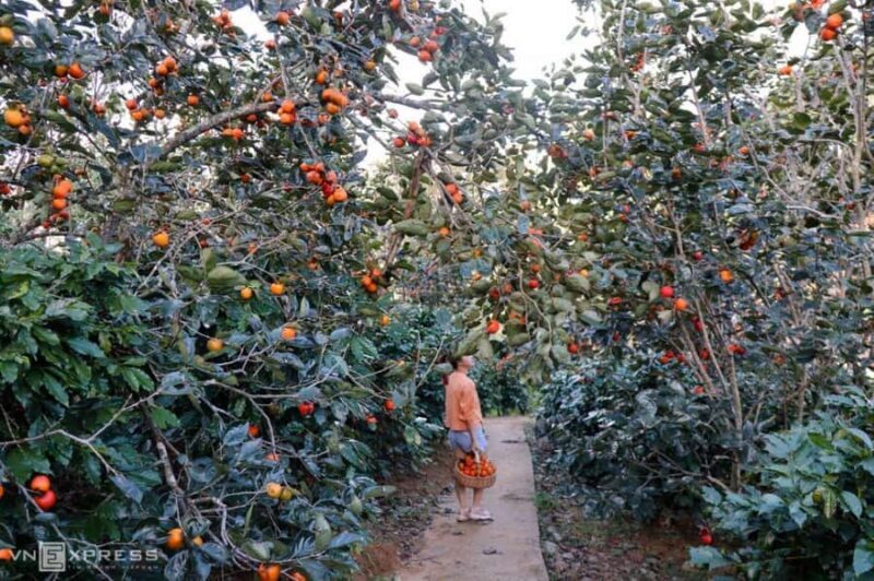 Da Lat: Sunrise Photography & Scenic Morning Tour - Good To Know