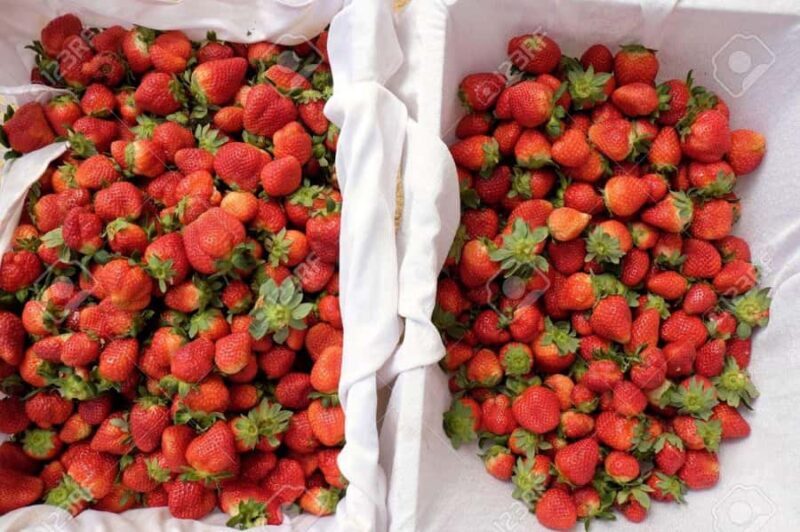 Da Lat: Sunrise Photography & Scenic Morning Tour - Final Thoughts