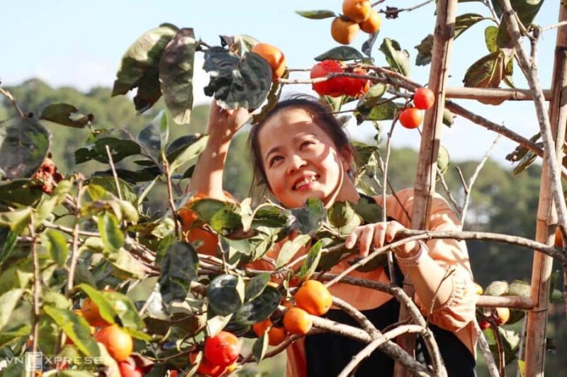 Da Lat: Sunrise Photography & Scenic Morning Tour - FAQs