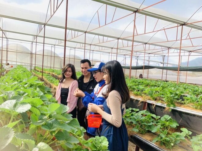 Da Lat: Sunrise Tour, Cau Dat Green Tea Hill & Words of the Wind - Customer Reviews