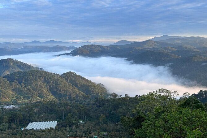 Da Lat Sunrise Tour Cloud Hunting and Stunning Dawn Views - The Sum Up