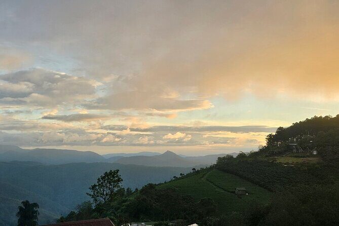 Da Lat Sunrise Tour Cloud Hunting and Stunning Dawn Views - Practical Tips for Travelers