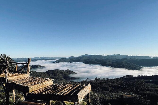 Da Lat Sunrise Tour: Cloud Hunting & Morning Glow Experience - The Itinerary in Detail: What to Expect