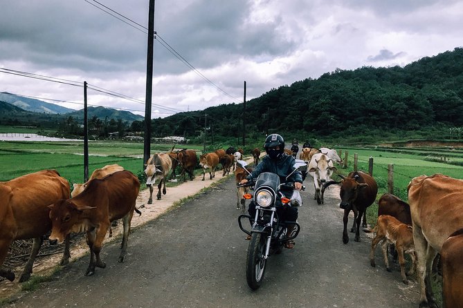 Da Lat: Waterfalls & Countryside Private Motorcycle Tour  - My Son - Tour Details