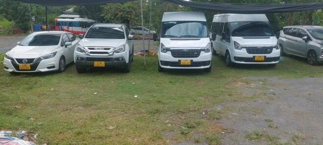 Da Nang: Airport Transfer Pick up Service - Customization Features