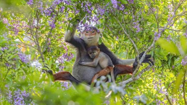Da Nang: Am Phu Cave, Lady Buddha and Marble Mountains Tour - Frequently Asked Questions