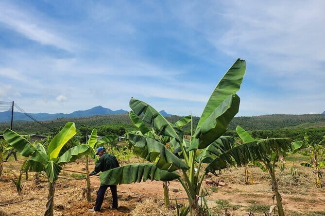 Da Nang ATV Quad Bike Adventure & BBQ Feast - What to Expect from the Da Nang ATV Quad Bike Tour