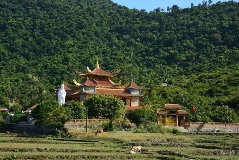 DA NANG: CHAM ISLAND SIGHTSEEING AND SNORKELING TOUR - Inclusions