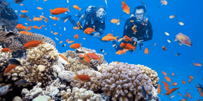 DA NANG: CHAM ISLAND SIGHTSEEING AND SNORKELING TOUR - Frequently Asked Questions