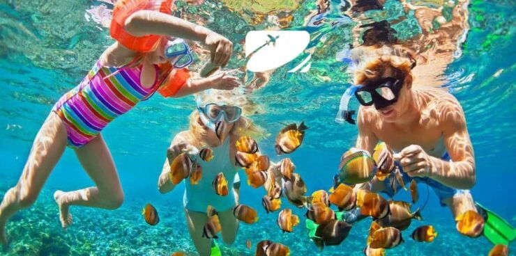 Da Nang: Cham Island Snorkeling and Sightseeing Tour - Itinerary Highlights