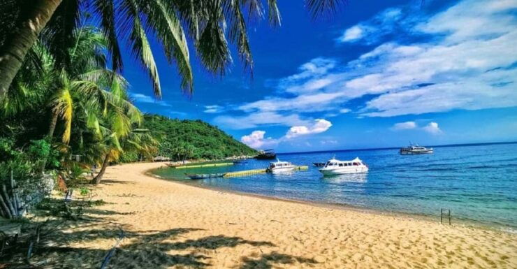 Da Nang: Cham Islands With Snorkeling and Scenic Highlights - Good To Know