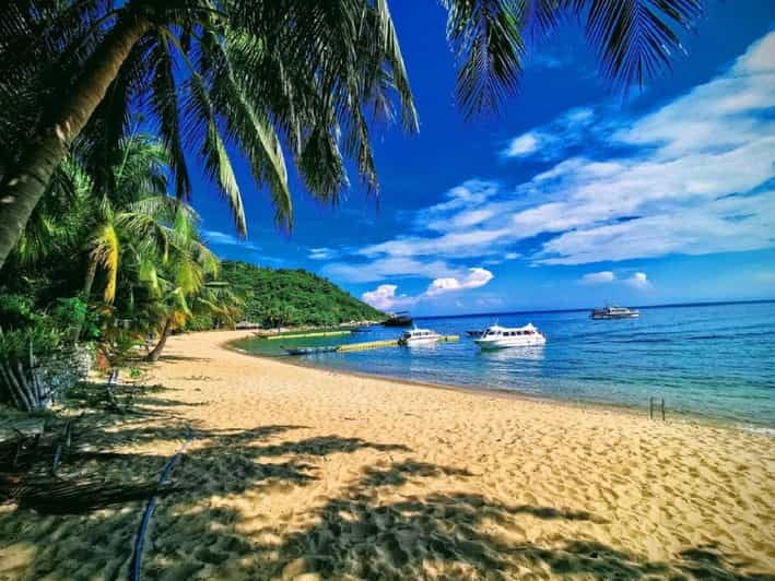 Da Nang: Cham Islands With Snorkeling and Scenic Highlights - Pricing Details