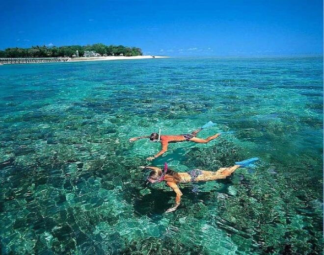 Da Nang: Cham Islands With Snorkeling and Scenic Highlights - Scenic Highlights