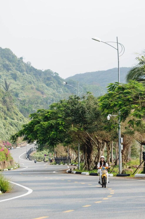 Da Nang: Covering Monkey & Marble Mountains & Coconut River - Tour Overview and Pricing