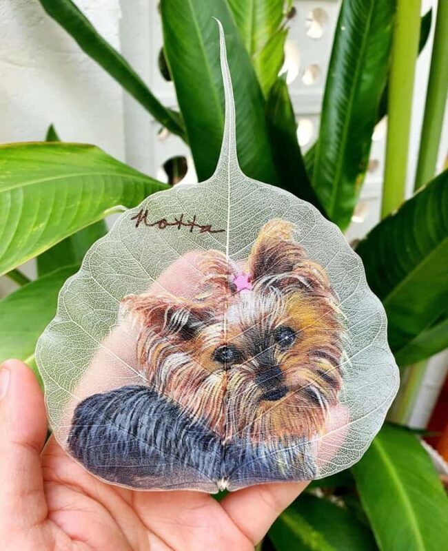 Da Nang Craft & Creative Hub: Choose Your Favorite Workshop - Good To Know