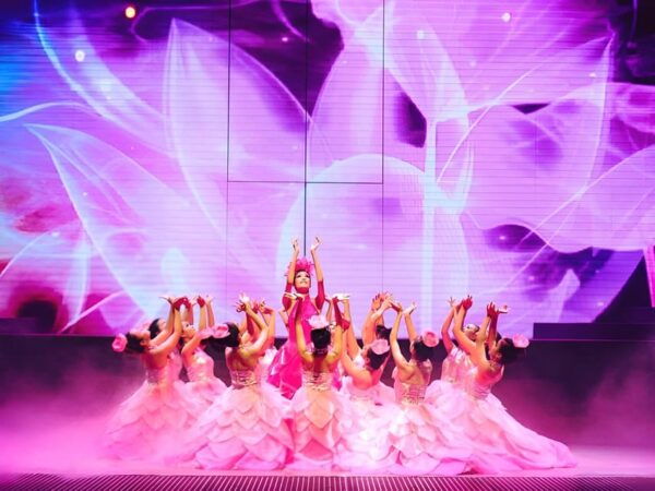 Da Nang: Da Nang Charming Show Ticket - Booking Process and Tips