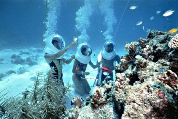 Da Nang: Daiy Cham Islands Snorkeling Tour With Lunch - Important Information