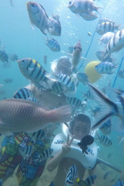Da Nang: Daiy Cham Islands Snorkeling Tour With Lunch - Local Culture and Cuisine