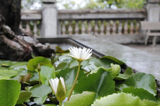 Da Nang Discovery With Cool Locals - Delicious Local Cuisine and Food Tours