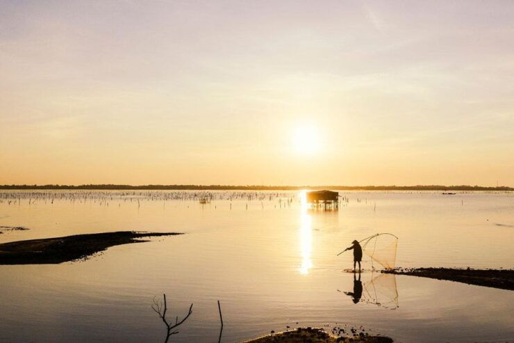 Da Nang: Golden Bridge - Monkey Mountain - Marble Mountain - Da Nang City Overview