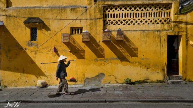 Da Nang: Half-Day Hoi An Old Town and Coconut Forest Tour - Tour Inclusions