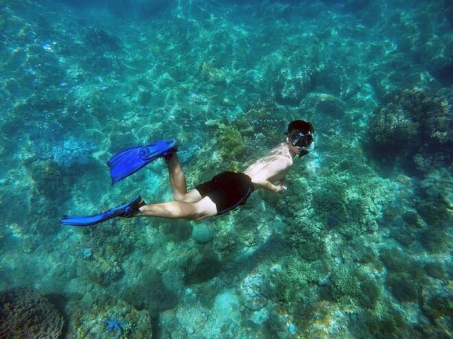 Da Nang/Hoi An: Cham Island Sightseeing And Snorkeling Tour - Booking Process