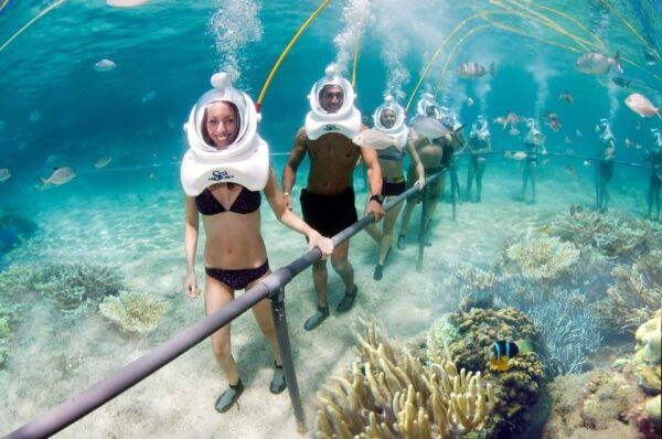 Da Nang/Hoi An: Cham Island Sightseeing And Snorkeling Tour - Additional Activities