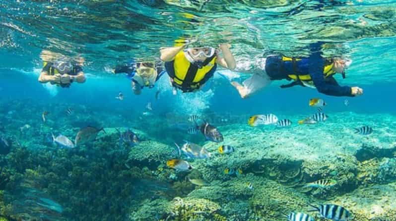 Da Nang/Hoi An: Cham Island W Snorkeling Trip/Scuba Diving - Good To Know