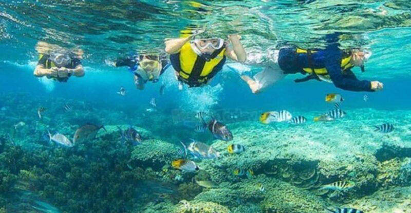 Da Nang/Hoi An: Cham Island W Snorkeling Trip/Scuba Diving - Itinerary