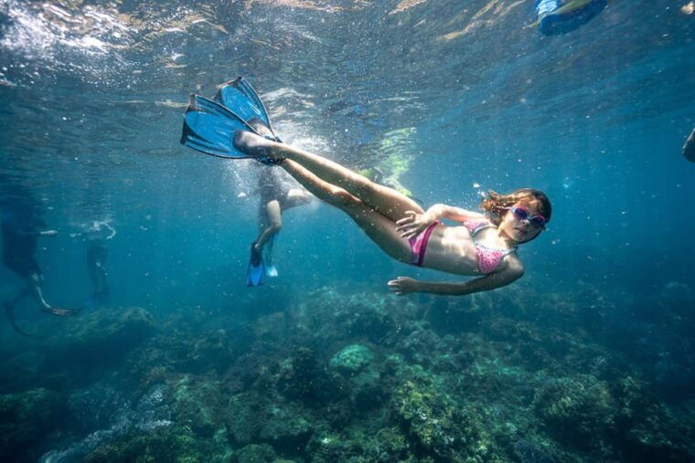Da Nang/Hoi An: Cham Island W Snorkeling Trip/Scuba Diving - Departure