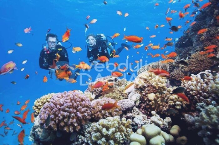 Da Nang/Hoi An: Cham Island W Snorkeling Trip/Scuba Diving - Inclusions