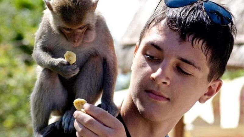 Da Nang/Hoi An: Marble Mountains-Am Phu Cave-Monkey Mountain - The Sum Up