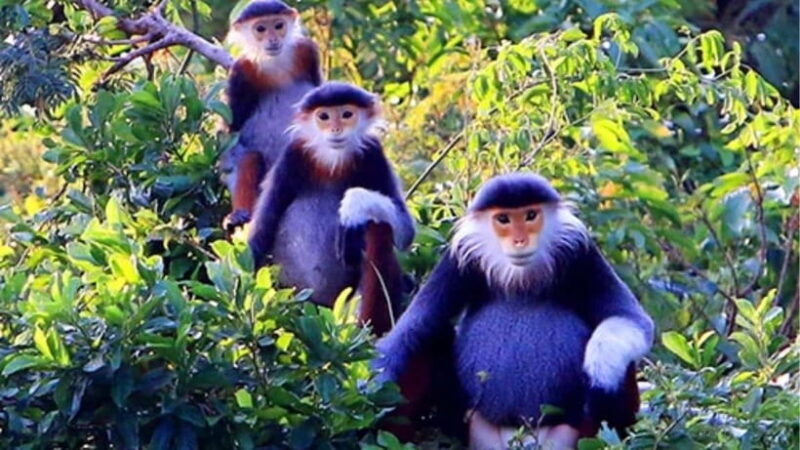 Da Nang/Hoi An: Marble Mountains-Am Phu Cave-Monkey Mountain - Frequently Asked Questions