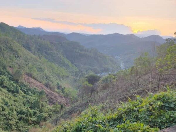 Da Nang/Hoi An Motorbike Day Tour: Explore via Hai Van Pass - Booking Information