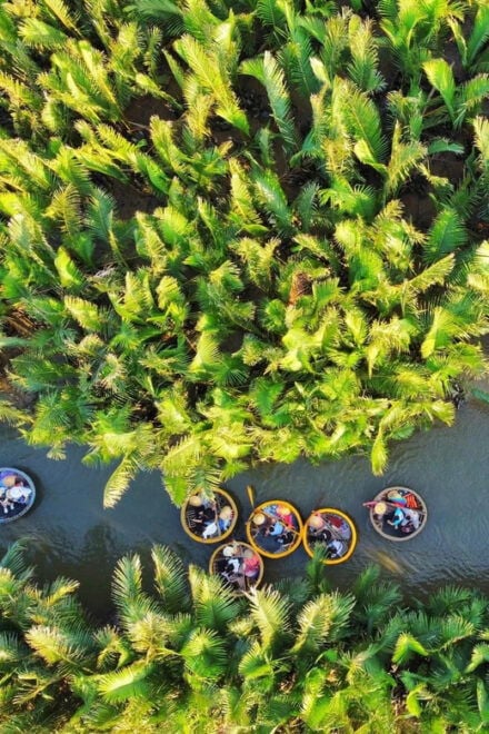 Da Nang: Hoi an Old Town & Coconut Village Tour With Dinner - Important Information