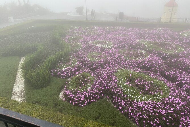 Da Nang/Hoi An to Golden bridge-Bana hills Private Tour - A Deep Dive Into the Experience