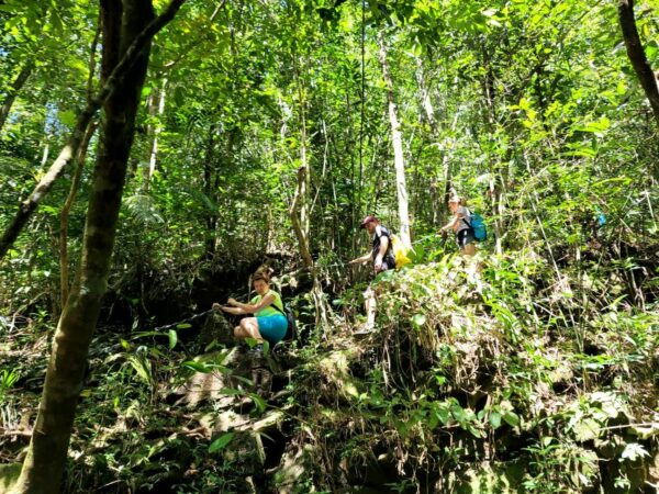 Da Nang/Hoi An to Hue via Bach Ma National Park Trekking - The Sum Up