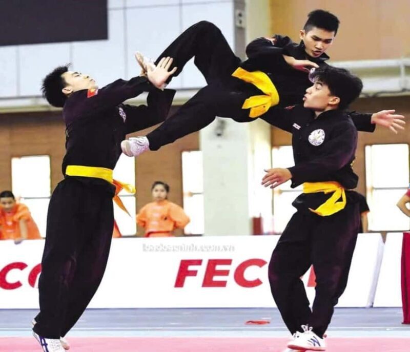 Da Nang/Hoi An: Traditional Martial Art Introduction Class - Good To Know