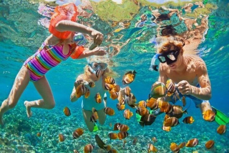 DA NANG-HOI AN:Cham Island Daily Tour-Snorkeling Experience - Tour Booking Details
