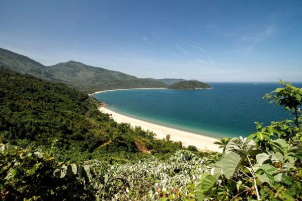 Da Nang/Hoi An:Hue Imperial City and Hai Van Pass Day Tour - Booking Information