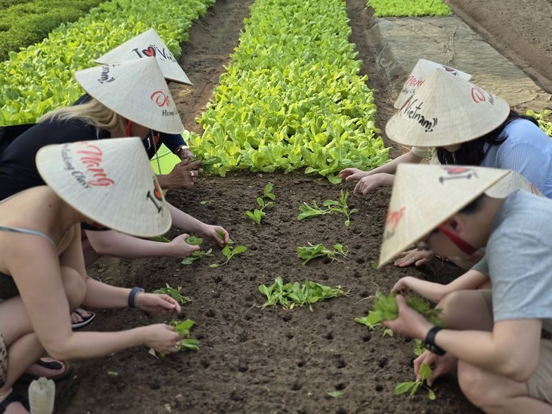 Da Nang Home Cooking Class - Who should book this Da Nang cooking class?