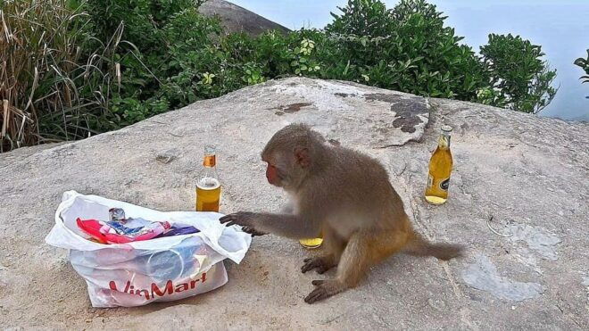 Da Nang: Marble Mountains, Monkey Mountain, and Am Phu Cave - Visiting Am Phu Cave