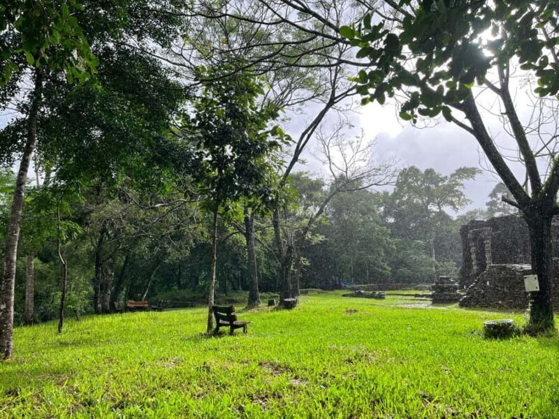 Da Nang: My Son Holyland - Rice Paper Making Deluxe Tour - Final Thoughts: Who Is This Tour Best For?