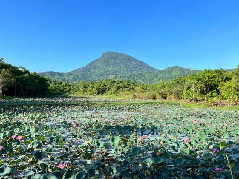 Da Nang: My Son Holyland - Rice Paper Making Deluxe Tour - FAQ