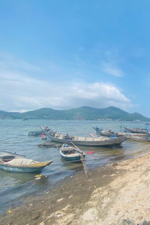 Da Nang : Private Car to Hue via Hai Van Pass & Many Options - Pricing Details and Discounts
