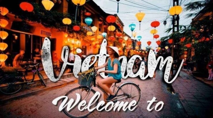 Da Nang: Private Transfer to Da Nang Hotels or Hoi An City - Convenient Pick-Up and Drop-Off Service