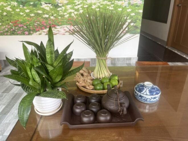 Da Nang: Relax With 60 Minutes Foot Massage - Unique Massage Techniques